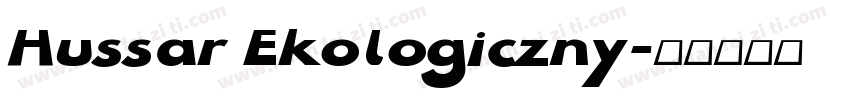 Hussar Ekologiczny字体转换